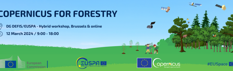 Copernicus for Forestry