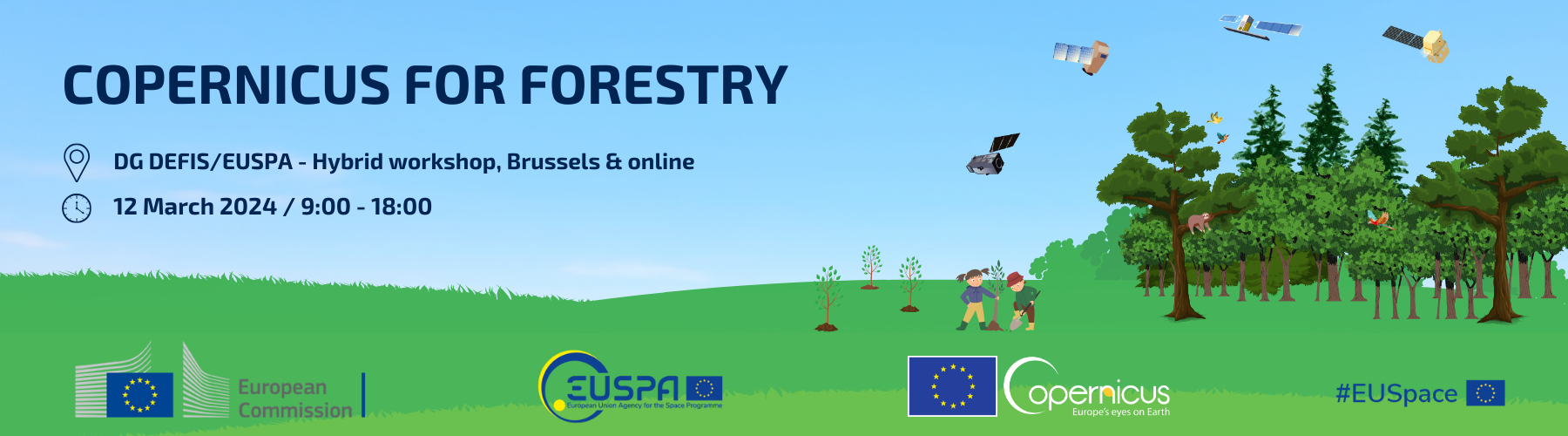 Copernicus for Forestry